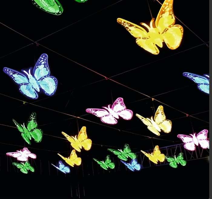Butterfly moving set 
